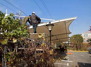 新鄉好色先生污版在线观看【新運交運公司充電樁車棚】等案例總結